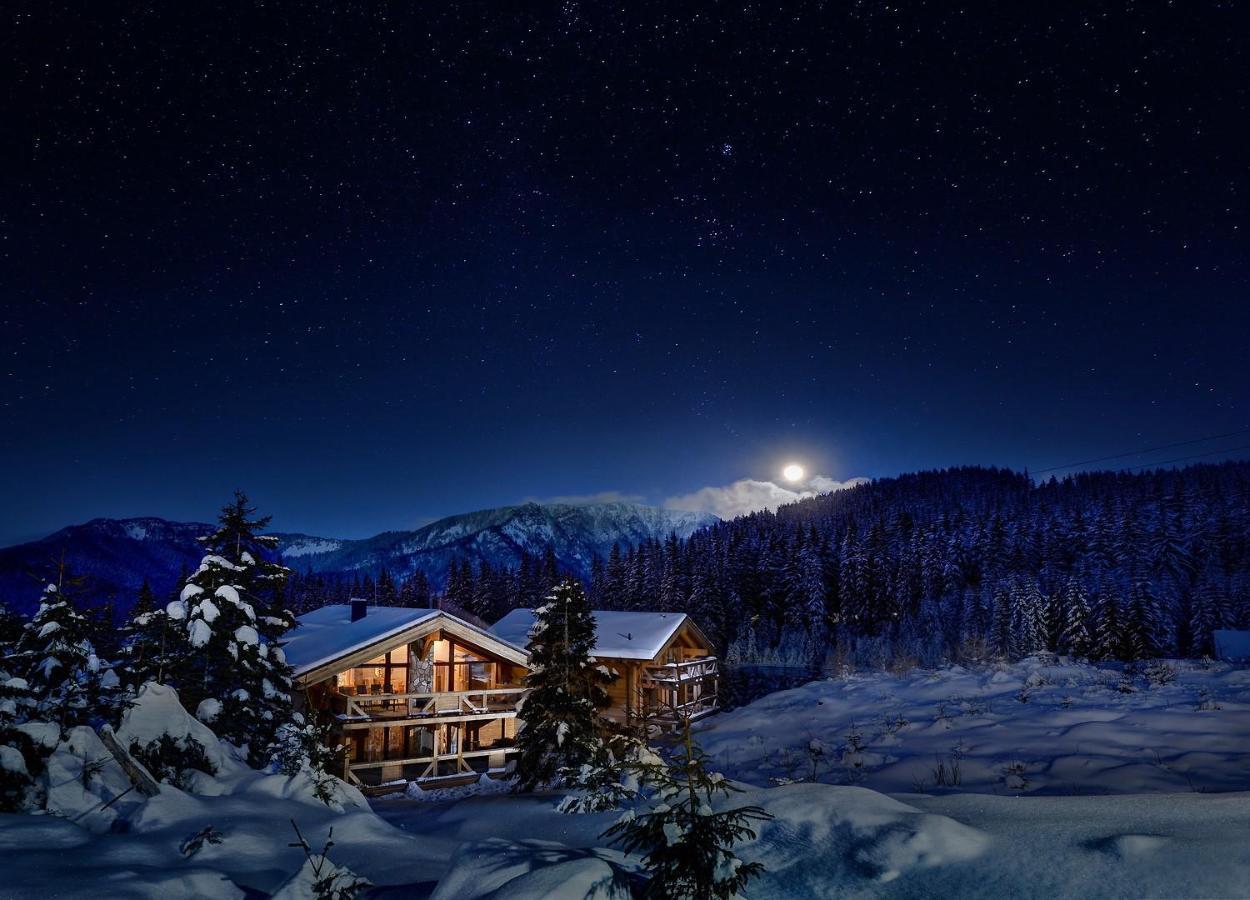 Chalets Jasna Collection Centrum ديمانوفْشكا دولِنا المظهر الخارجي الصورة